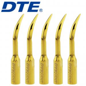 10Pezzi Woodpecker DTE GD1T Inserti Ablatore Ultrasuoni Compatibile NSK SATELEC