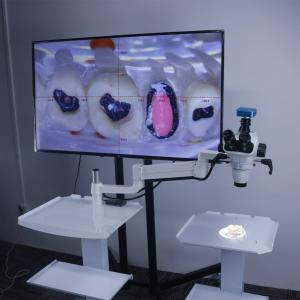 Microscopio operatorio odontoiatrico per terapia canalare dentale con fotocamera e 5w lampada led