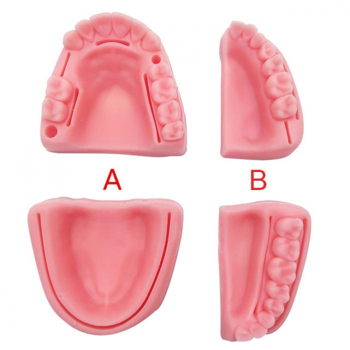 Modulo didattico di formazione sulla sutura orale del gel di silice dentale