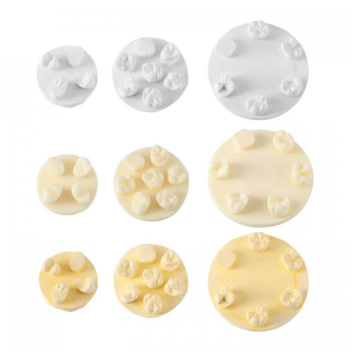 Kit di formazione per modelli di pratica della morfologia dei denti, 3 pezzi/confezione, posizioni U6/L6/U4 (gesso/resina) Kit di formazione per modelli di pratica della morfologia dei denti, 3 pezzi/confezione, posizioni U6/L6/U4 (gesso/resina)