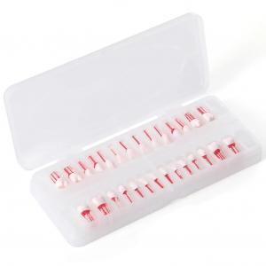 Typodont dentale 28 pezzi /set , modello di pratica canalare