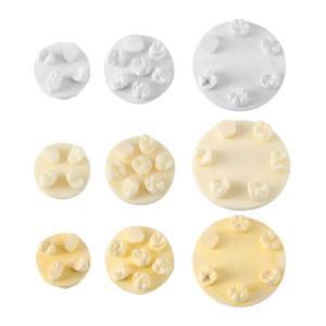 Kit di formazione per modelli di pratica della morfologia dei denti, 3 pezzi/confezione, posizioni U6/L6/U4 (gesso/resina)