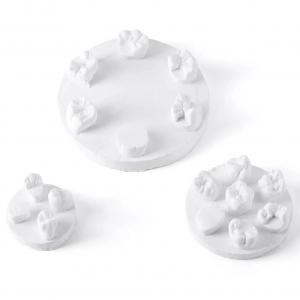 Kit di formazione per modelli di pratica della morfologia dei denti, 3 pezzi/confezione, posizioni U6/L6/U4 (gesso/resina)