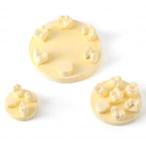 Kit di formazione per modelli di pratica della morfologia dei denti, 3 pezzi/confezione, posizioni U6/L6/U4 (gesso/resina)