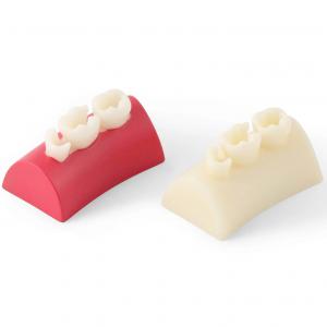 Blocco di esercizi per intarsi dentali, otturazione in resina composita