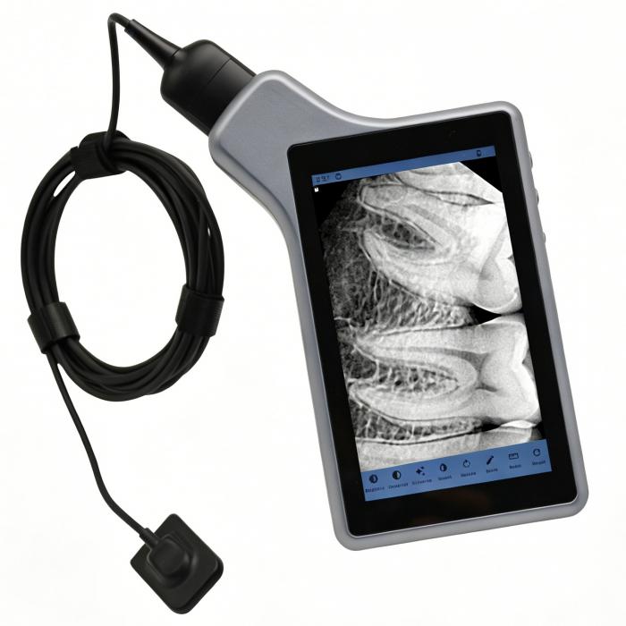Sensore intraorale dentale X-2006 / sensore RVG digitale con schermo tablet da 5 pollici Sensore intraorale dentale X-2006 / sensore RVG digitale con schermo tablet da 5 pollici