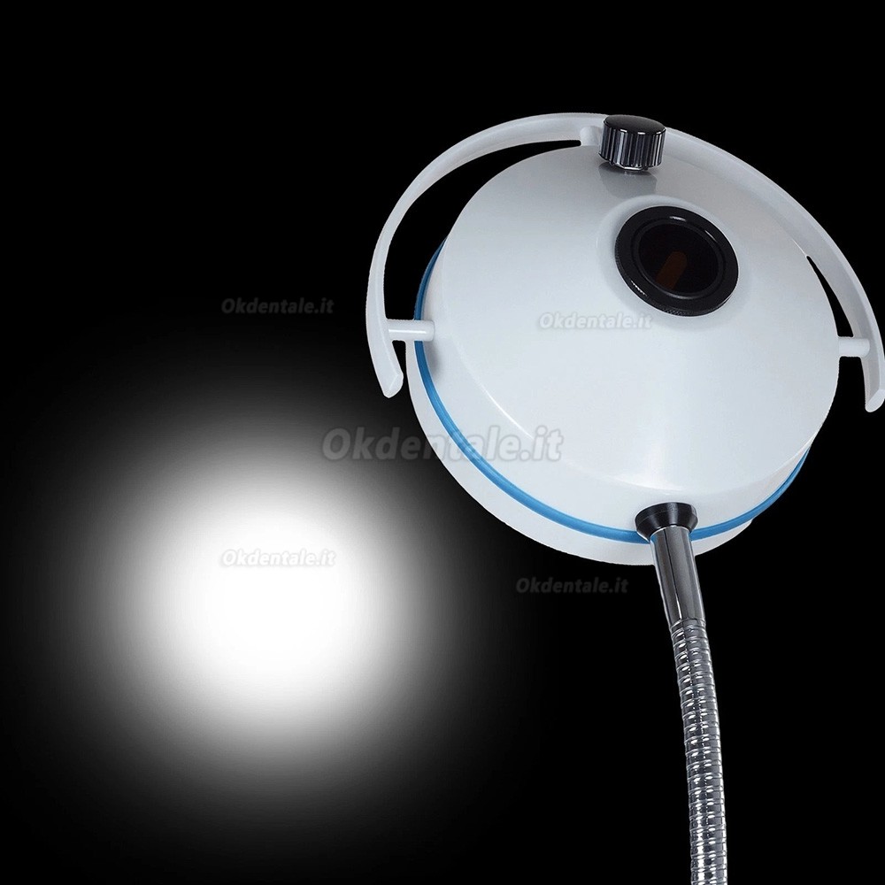 Lampada operatoria odontoiatrica da pavimento da 72 W con 24 lampadine LED a luce fredda Lampada operatoria odontoiatrica da pavimento da 72 W con 24 lampadine LED a luce fredda