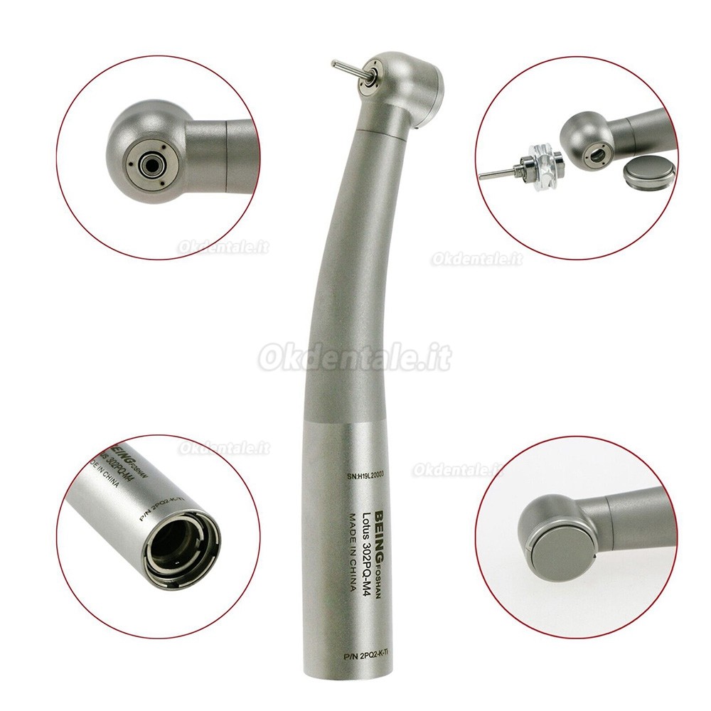 BEING 302PQ-K-Ti Manipolo turbina dentale (testa di coppia grande) Fit KAVO Multiflex Lux