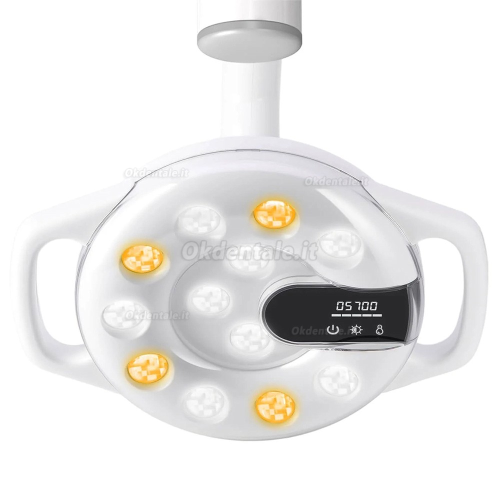 Lampada per poltrona odontoiatrica Bonin T12C Lampada per luce orale a 12 LED Lampada per poltrona odontoiatrica Bonin T12C Lampada per luce orale a 12 LED