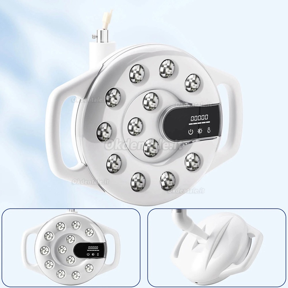 Lampada per poltrona odontoiatrica Bonin T12C Lampada per luce orale a 12 LED Lampada per poltrona odontoiatrica Bonin T12C Lampada per luce orale a 12 LED