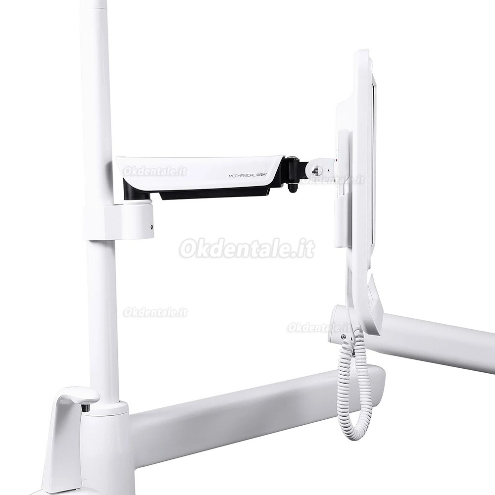 Telecamera intraorale dentale con monitor da 17 pollici + supporto regolabile
