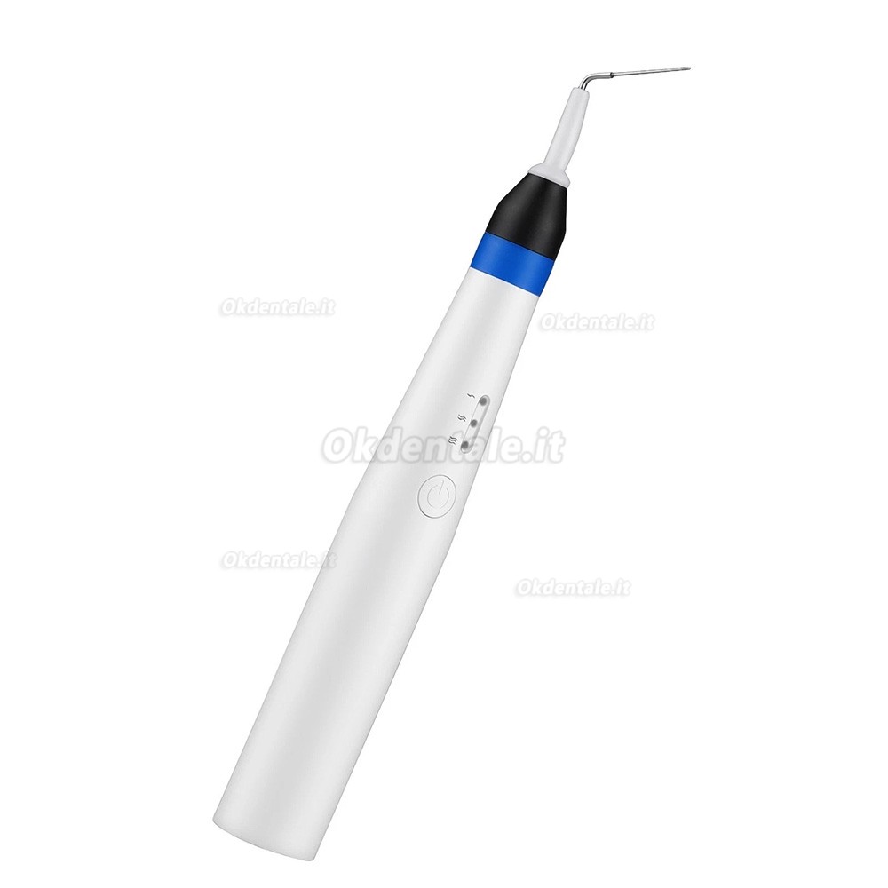 Sistema di otturazione endodontica / Gutta Percha Penna con 2 punte