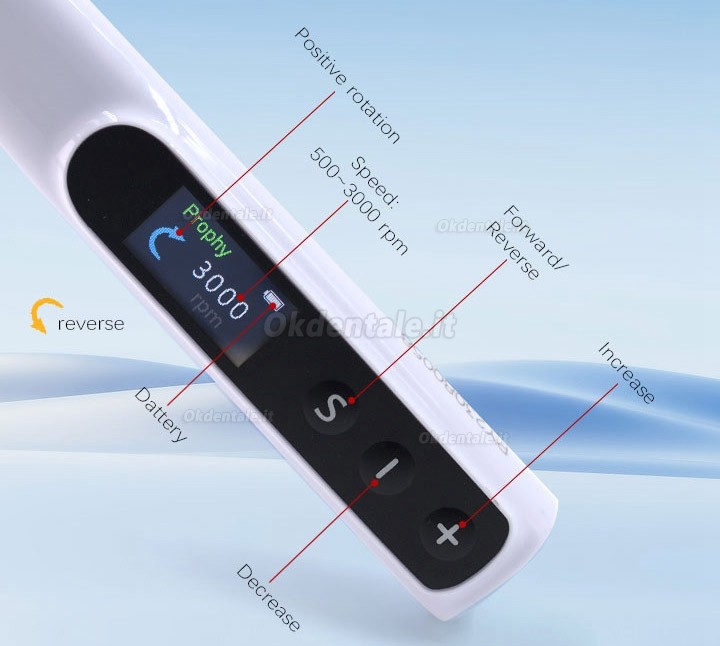 Contrangolo per profilassi elettrico dentale con 2 tazza per profilassi