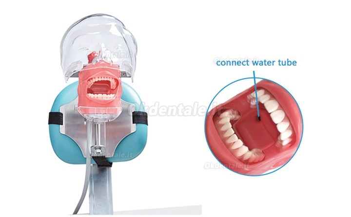 Jingle C6-3 Unità di simulazione dentale compatibile con nissin Nissin Kilgore