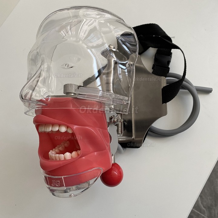 Jingle C6-3 Unità di simulazione dentale compatibile con nissin Nissin Kilgore