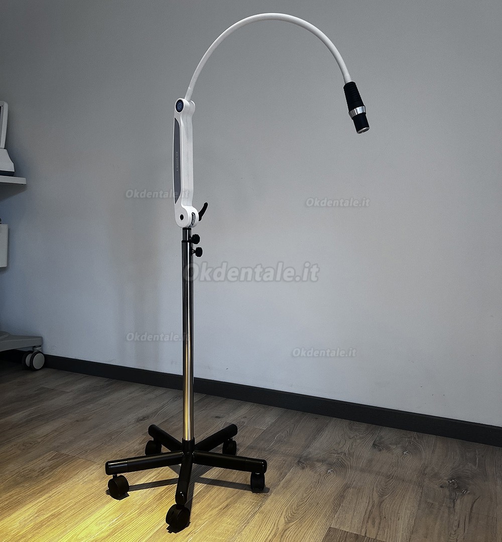 Lampade diagnostiche dentale a LED KWS KD-2005W-4, regolabile e con telecomando