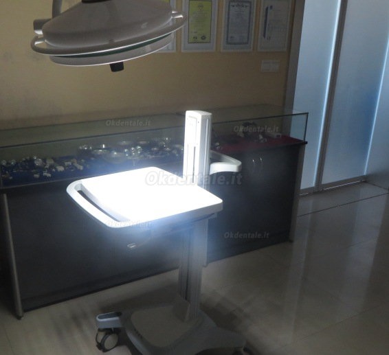 KD-2036D-3 36LED Lampada dentale a luce fredda senza ombre con profondità di illuminazione regolabile 72 W (a terra, con una base)