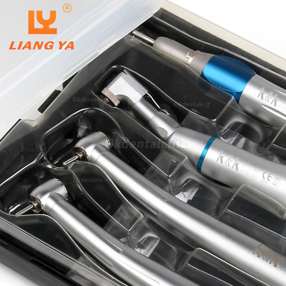 LY LY-L201 Manipolo a Turbina Dentale + Kit Di Manipolo a Bassa Velocità