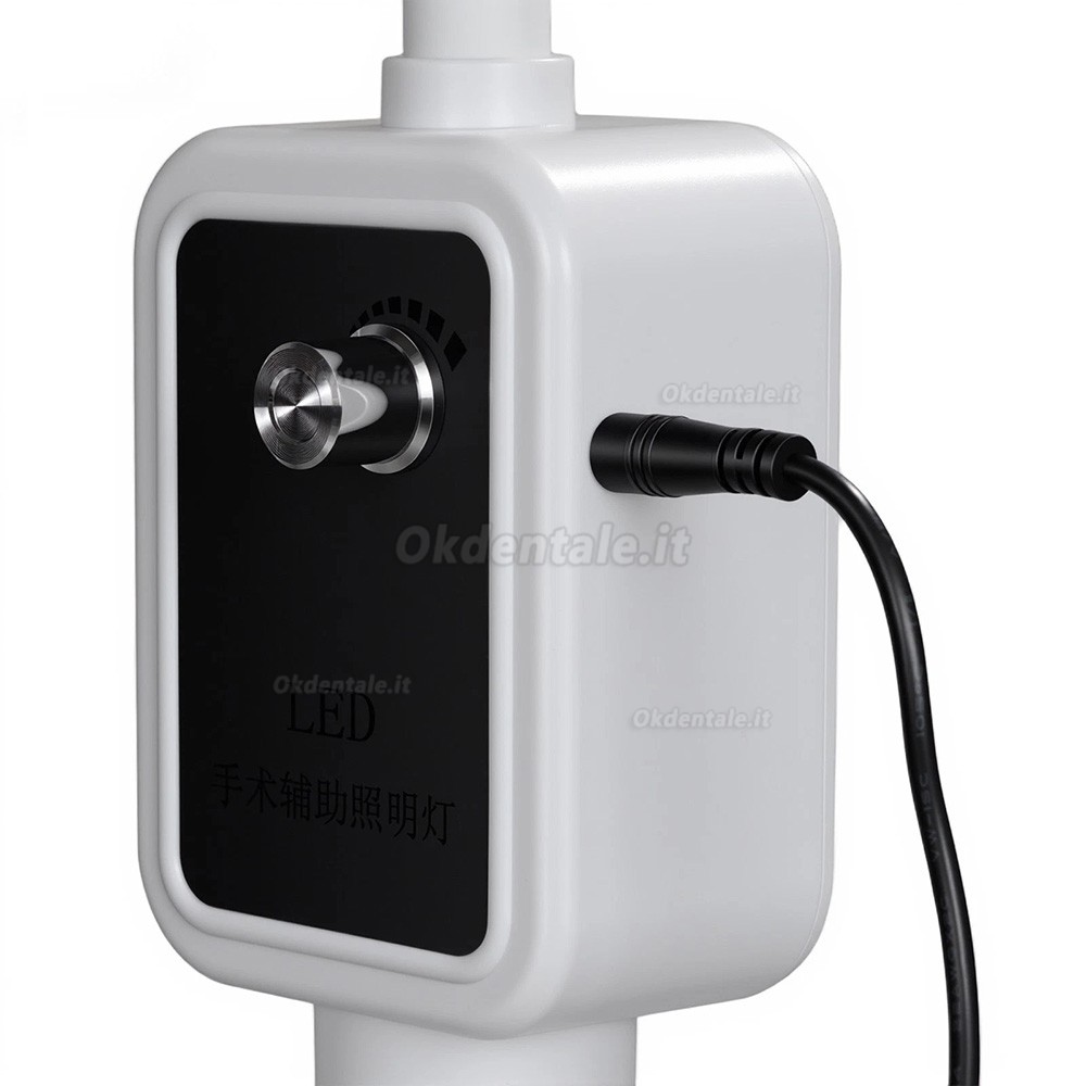 Lampade diagnostiche mediche Micare JD1000L, luce fredda a LED da 15W Lampade diagnostiche mediche Micare JD1000L, luce fredda a LED da 15W