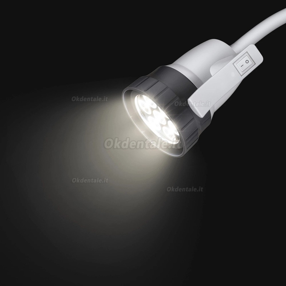 Lampade diagnostiche mediche Micare JD1000L, luce fredda a LED da 15W Lampade diagnostiche mediche Micare JD1000L, luce fredda a LED da 15W