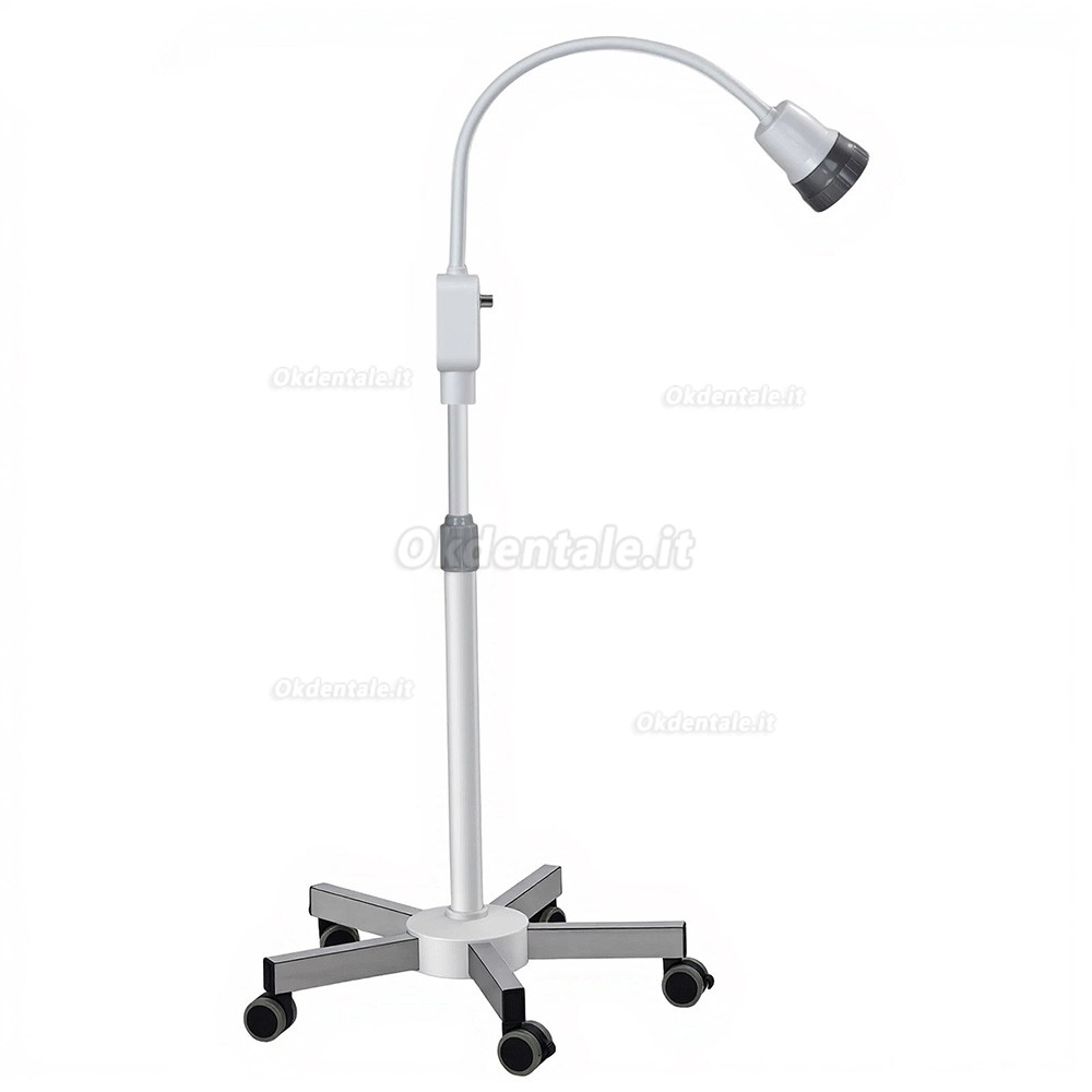 Lampade diagnostiche mediche Micare JD1000L, luce fredda a LED da 15W Lampade diagnostiche mediche Micare JD1000L, luce fredda a LED da 15W