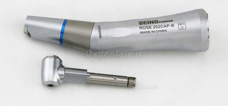 Being® Rose 202-CA(PB) Contrangolo Spray interno con illuminazione KAVO compatibile