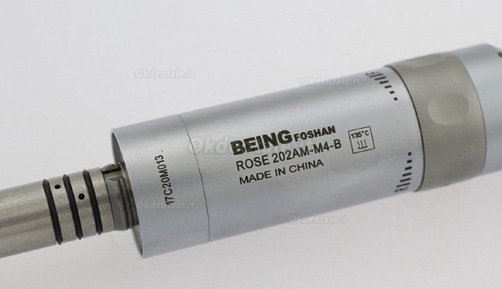 Being® Rose 202AM-B Moteur d’air luce spray interno