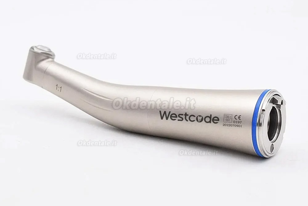 Westcode Contrangolo anello blu 1:1 con fibra ottica e getto d'acqua interno