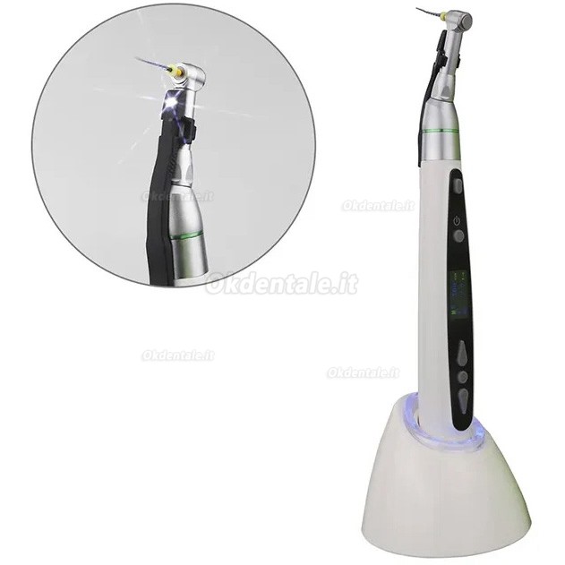 Motore Endodontico Westcode EndoII (con luce a LED da 2 pezzi)