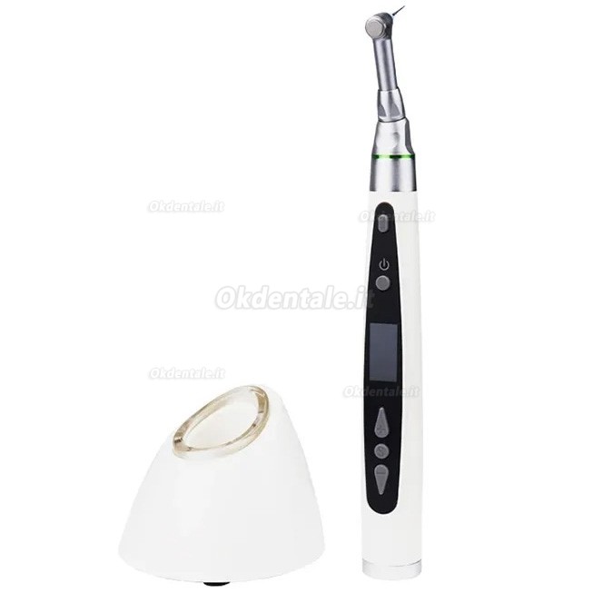 Motore Endodontico Westcode EndoII (con luce a LED da 2 pezzi)