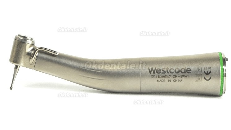 Westcode XM-EW01 Contrangolo anello verde per chirurgia implantare dentale 20:1 con fibra ottica
