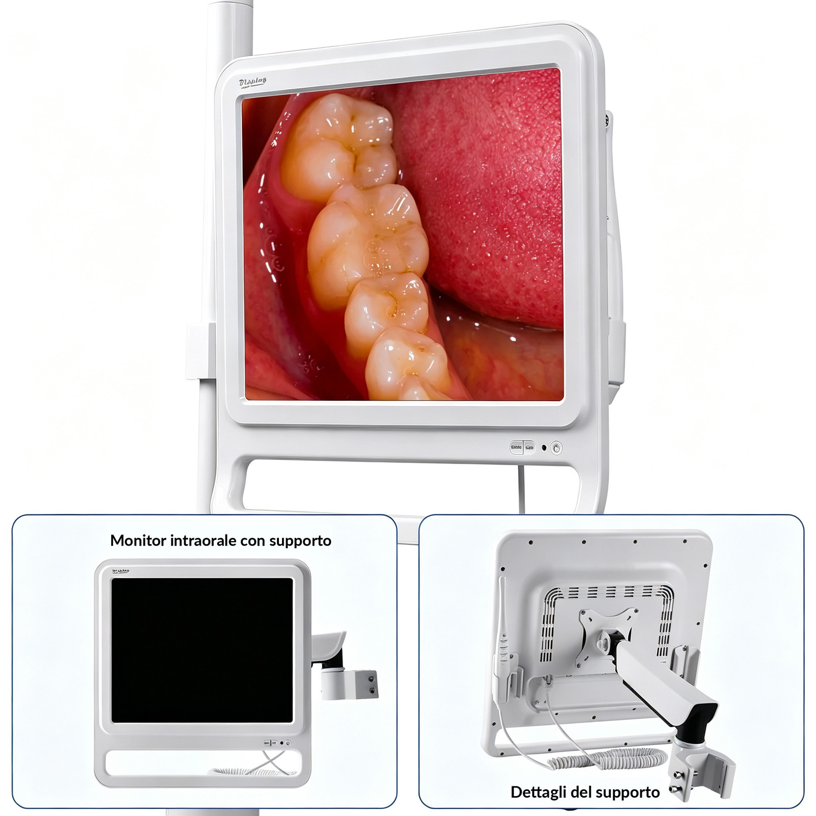 Telecamera intraorale dentale con monitor da 17 pollici + supporto regolabile